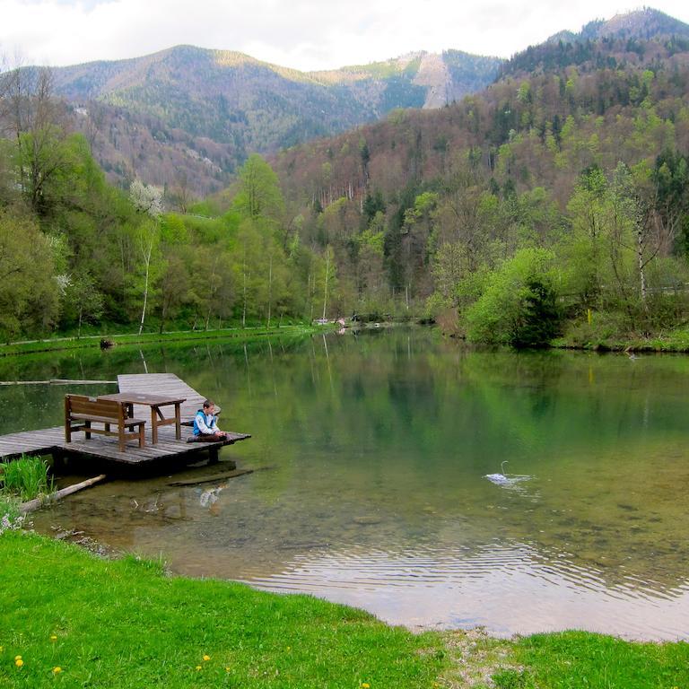 Romantische Ferienhütte Ennstaler Nat Kalkalpen bis 6 Personen Kleinreifling Exterior foto