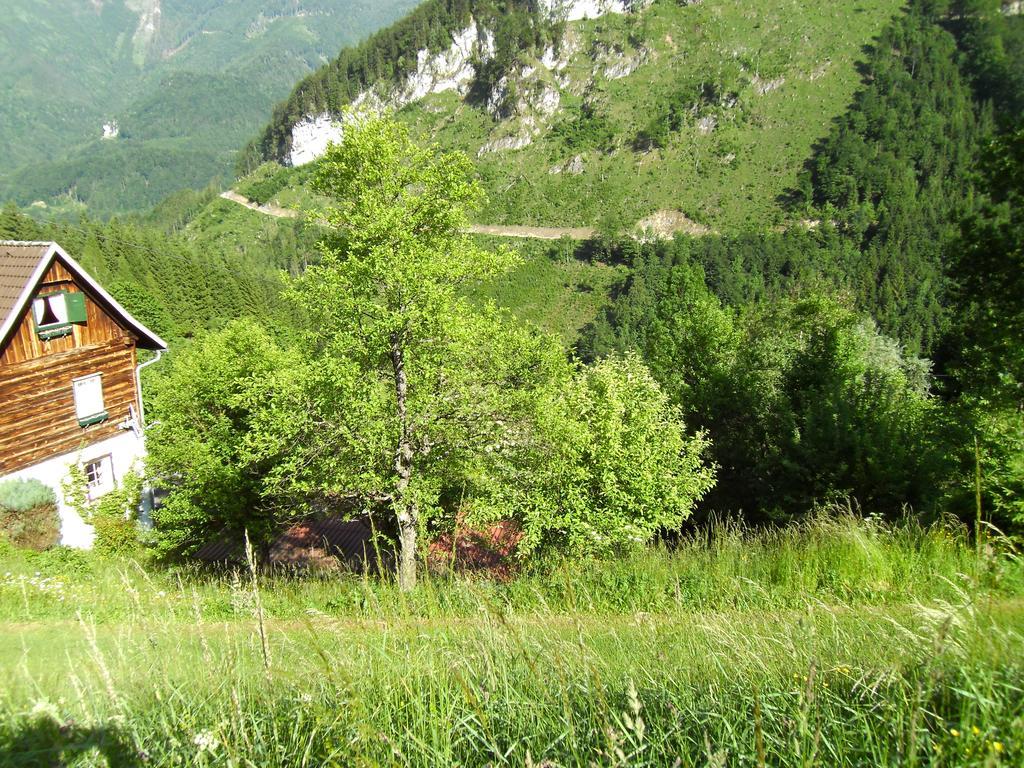 Romantische Ferienhütte Ennstaler Nat Kalkalpen bis 6 Personen Kleinreifling Exterior foto