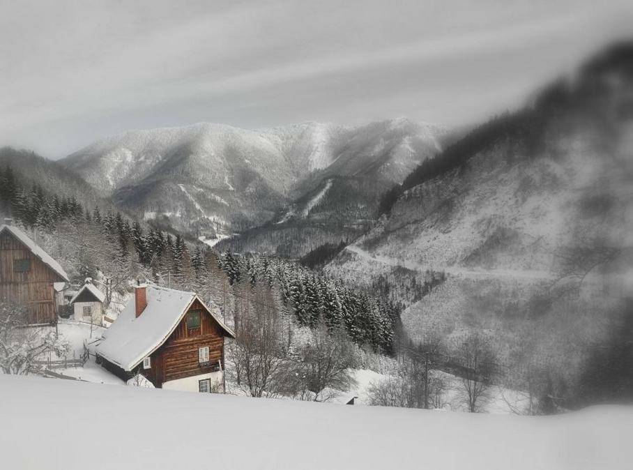 Romantische Ferienhütte Ennstaler Nat Kalkalpen bis 6 Personen Kleinreifling Exterior foto